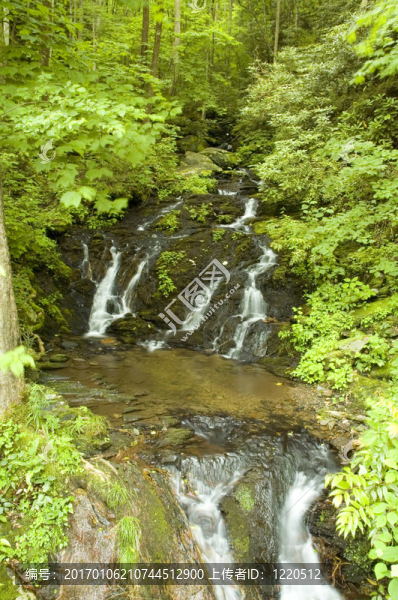 jw_037_006_05