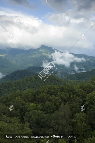 jw_037_082_05