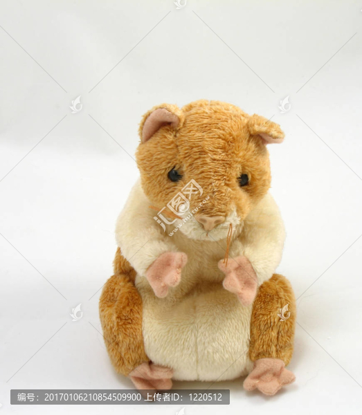 倉鼠-匯圖網(wǎng) www.fosd68.com 倉鼠