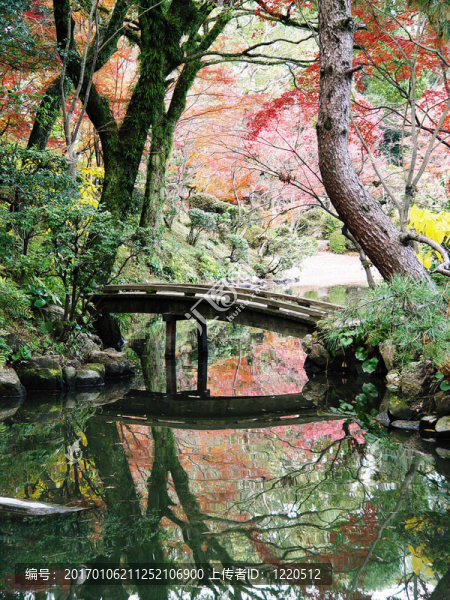 日本廣島shukkeien花園