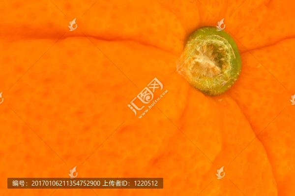 果粒橙顯示紋理特寫