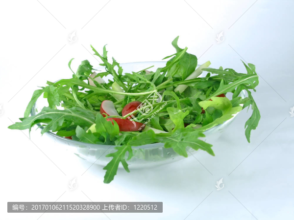 新鮮蔬菜