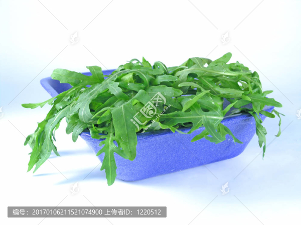 新鮮蔬菜