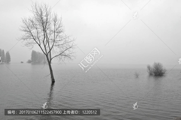 雪白的湖岸