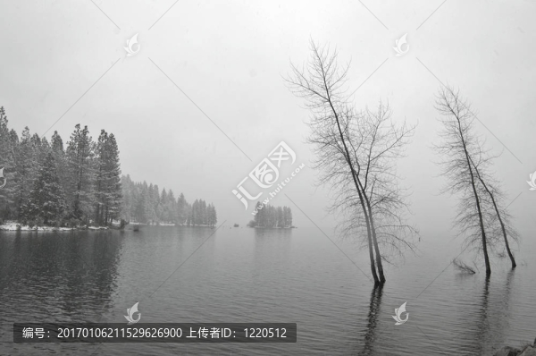 雪白的湖岸