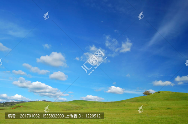 春天的風(fēng)景