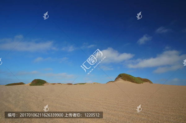 沙灘上的沙丘