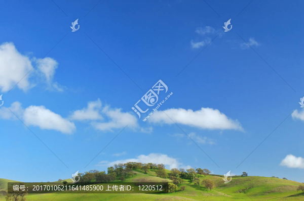 青翠的山坡上