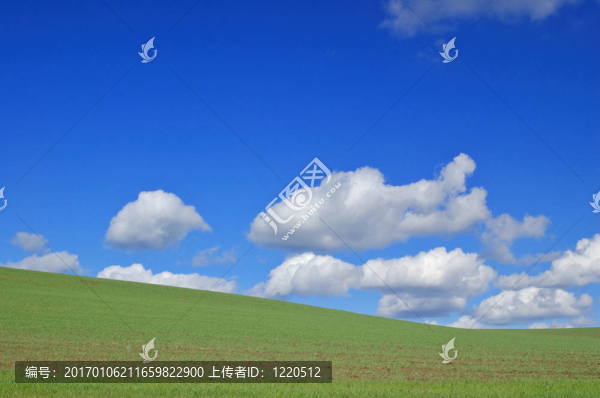 春天的田野