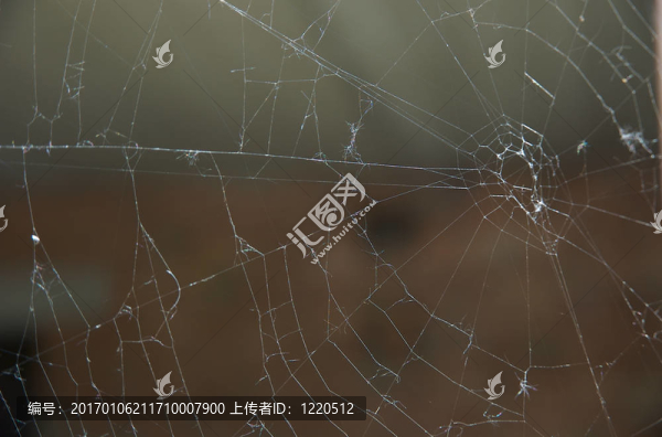 蜘蛛網(wǎng)