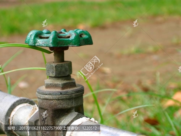 水龍頭的特寫