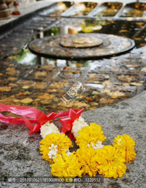 黃色的花