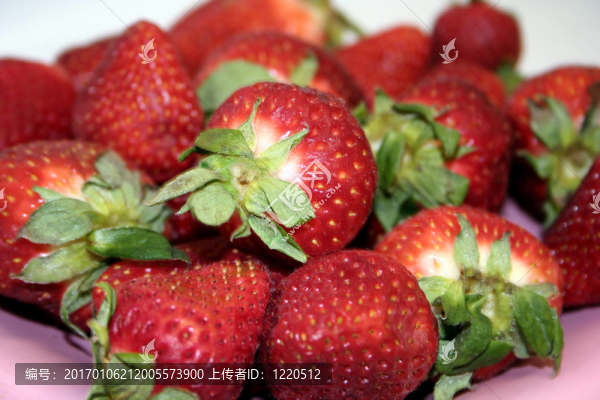 水果草莓