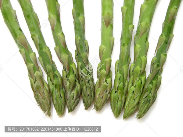 蘆筍2-匯圖網(wǎng) www.fosd68.com 蘆筍2