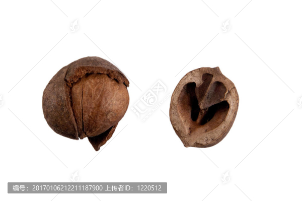 堅(jiān)果殼