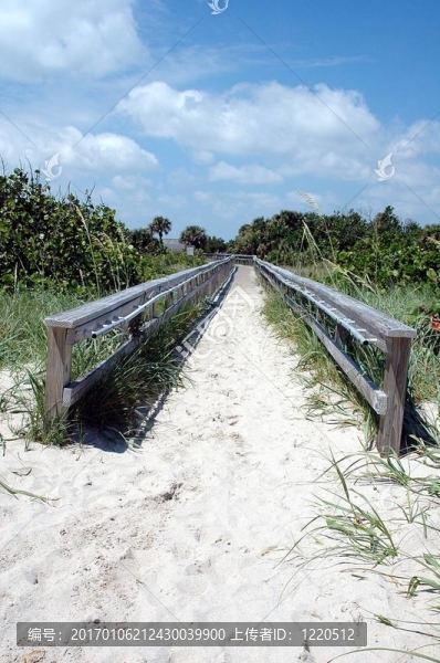 海灘散步-匯圖網(wǎng) www.fosd68.com 海灘散步