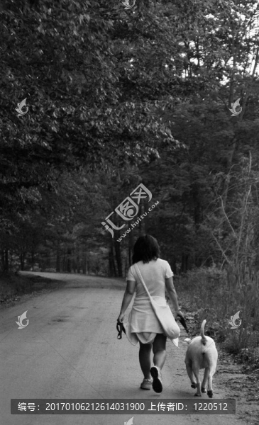 鄉(xiāng)村路-匯圖網(wǎng) www.fosd68.com 鄉(xiāng)村路