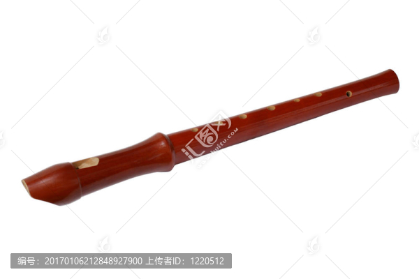 前視圖記錄器