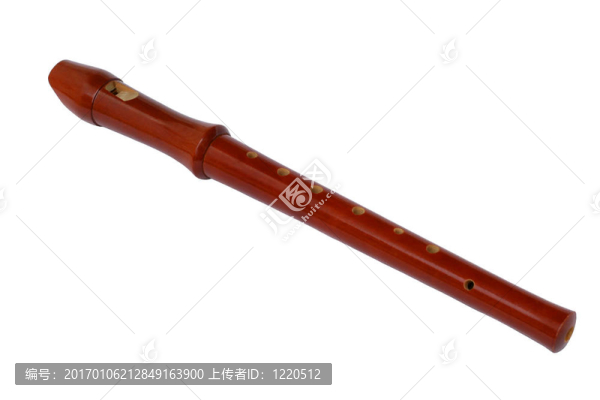 記錄后視圖