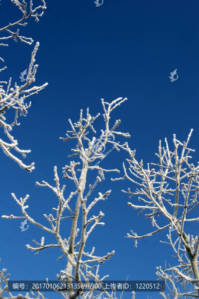 下雪的冬天