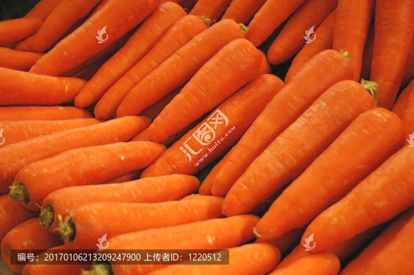 Carrot,Patch