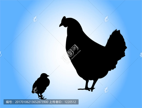 雞
