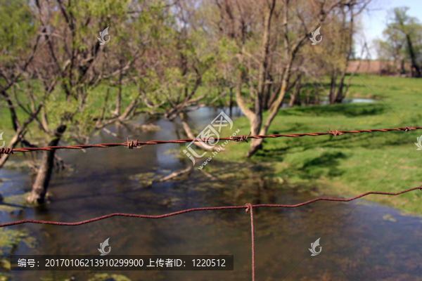 在鐵絲網(wǎng)