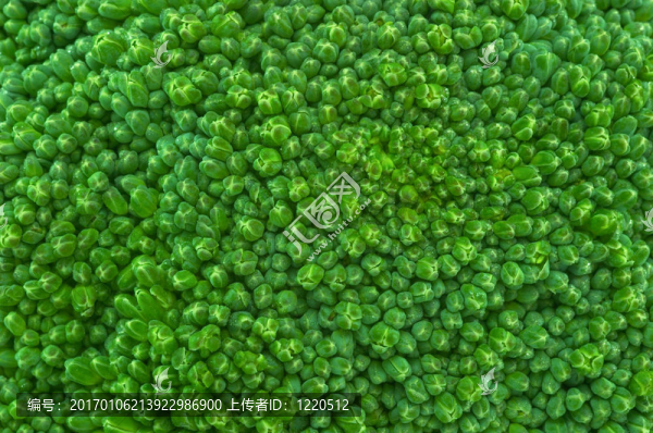 花椰菜束特寫