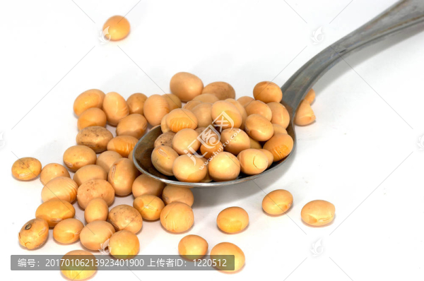 大豆的傳播