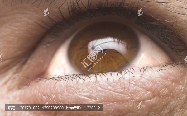 眼睛的特寫