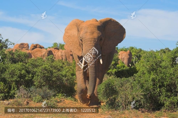 我們來了-匯圖網(wǎng) www.fosd68.com 我們來了