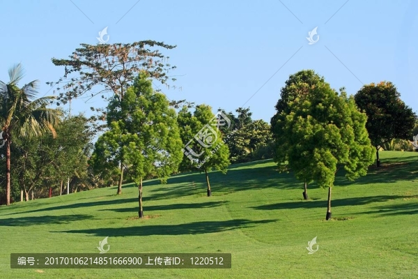 高爾夫球場