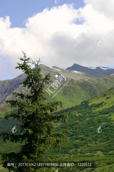 阿拉斯加山-匯圖網(wǎng) www.fosd68.com 阿拉斯加山