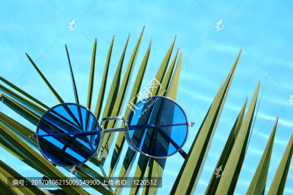 太陽池