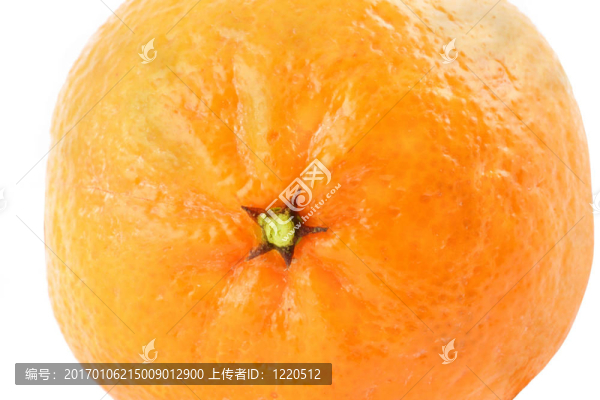 橙色的宏