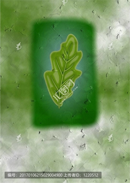 橡樹(shù)葉卡