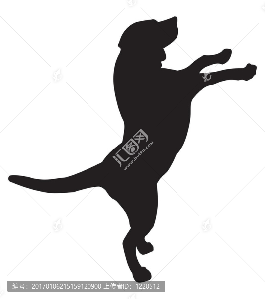 狗的剪影