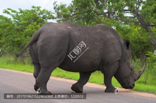 犀牛路口