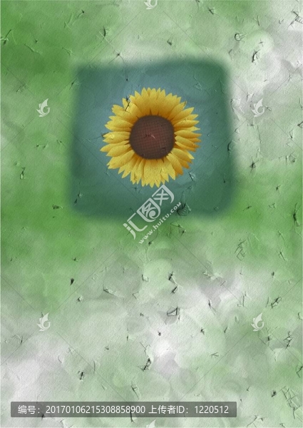 金葵花卡