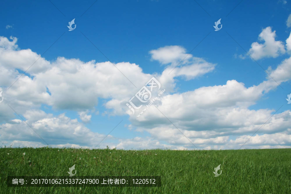 夏天的風(fēng)景