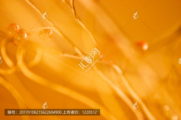 摘要生活