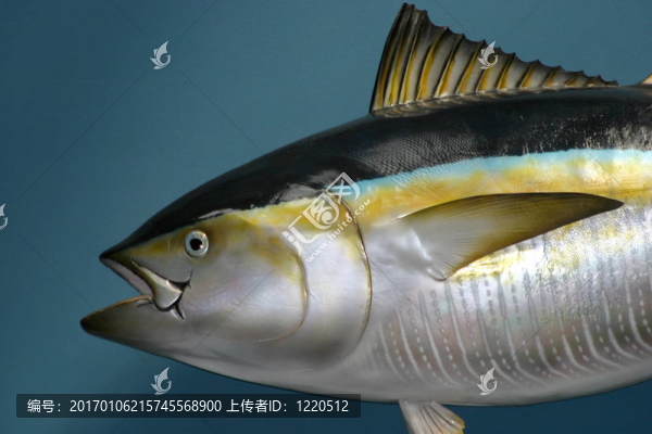 釀餡魚