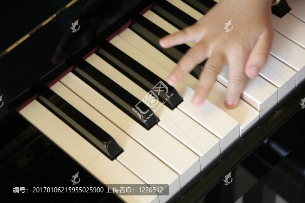 孩子的手