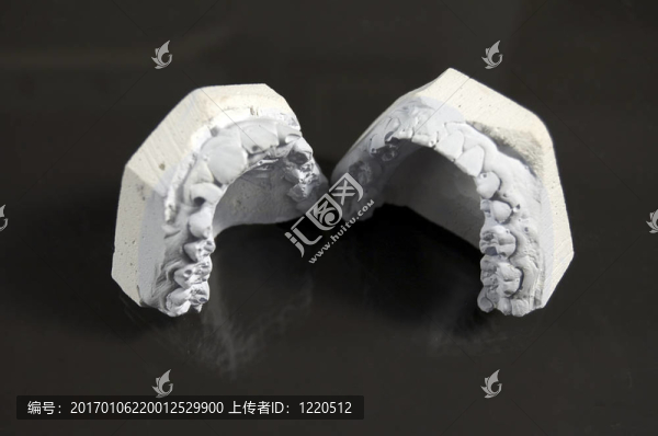 牙體模型