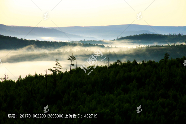 清晨森林云海
