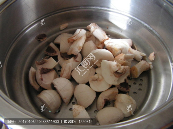 蘑菇