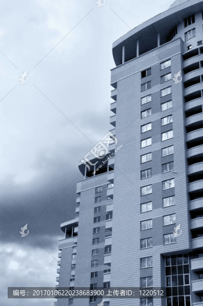 新的高層建筑物的烏賊