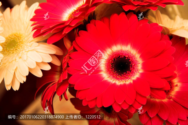 花7