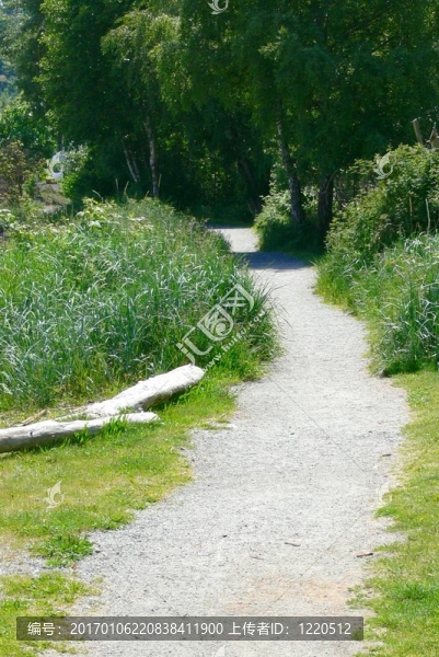 海濱路