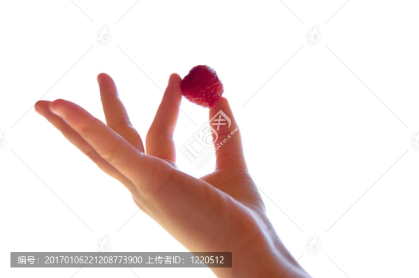 草莓
